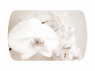 Стол Бостон-2 Лунная орхидея-венге-брифинг