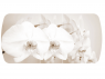 Стол раздвижной Бостон-3 Лунная орхидея-венге-триумф
